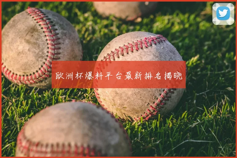 欧洲杯爆料平台最新排名揭晓