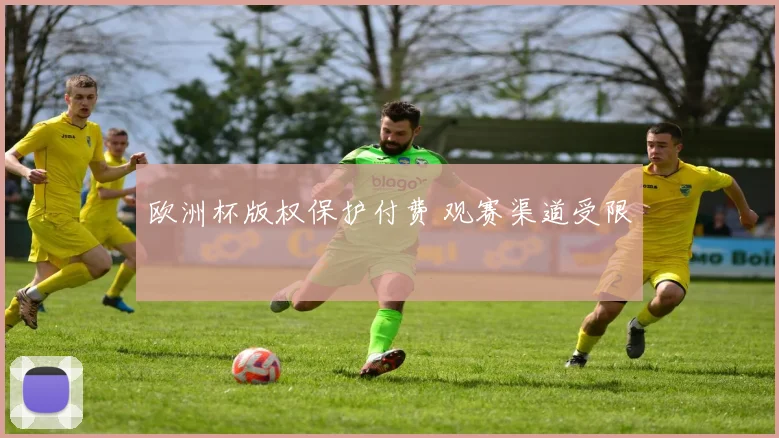 欧洲杯版权保护付费 观赛渠道受限