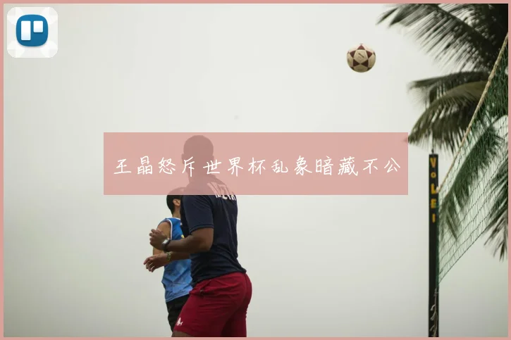 王晶怒斥世界杯乱象暗藏不公