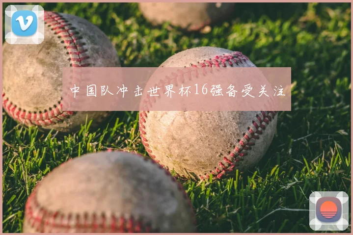 中国队冲击世界杯16强备受关注