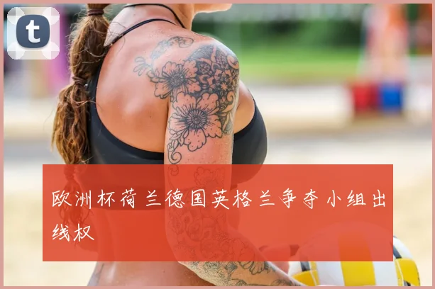欧洲杯荷兰德国英格兰争夺小组出线权