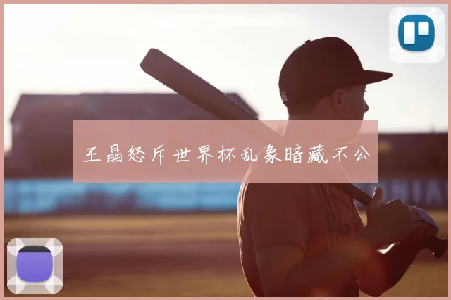 王晶怒斥世界杯乱象暗藏不公