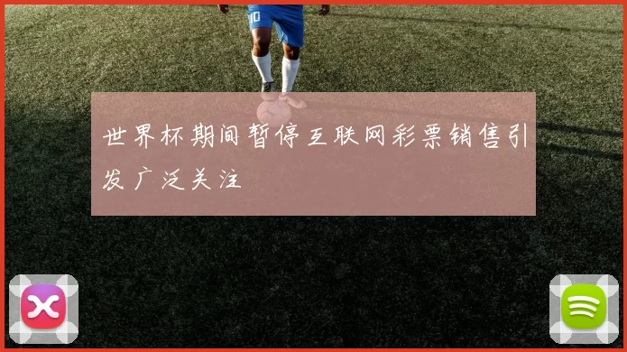 世界杯期间暂停互联网彩票销售引发广泛关注
