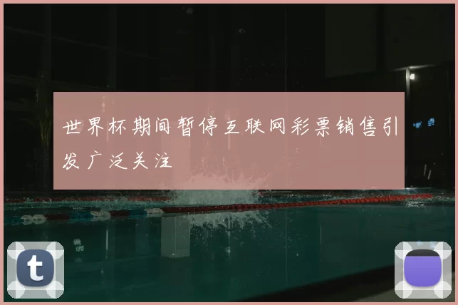 世界杯期间暂停互联网彩票销售引发广泛关注